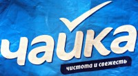 Чайка Чайка