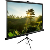 Экран Cactus TriExpert 200x200см (CS-PSTE-200Х200-BK), фото 