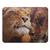 Коврик для мыши Buro BU-M40030 рисунок/лев 230x180x2мм, фото 