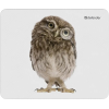 Коврик для мыши Defender Wild Animals 50803 220x180x2 мм, 8 видов, фото , изображение 11