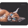 Коврик для мыши Defender Wild Animals 50803 220x180x2 мм, 8 видов, фото , изображение 12