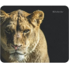 Коврик для мыши Defender Wild Animals и, 220x180x2 мм, 8 видов, фото , изображение 16