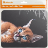 Коврик для мыши Defender Wild Animals 50803 220x180x2 мм, 8 видов, фото , изображение 4