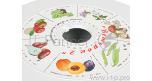 Сушилка для овощей Ветерок-2 У, 6 поддонов, в гофротаре, фото 