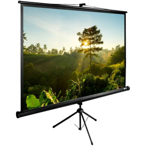 Экран Cactus TriExpert 200x200см (CS-PSTE-200Х200-BK), фото 