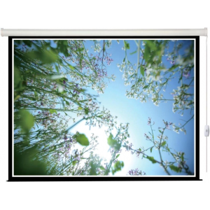 Экран Lumien Eco Control 142х200 Matte White, фото 