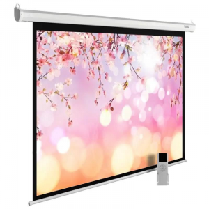 Экран Cactus MotoExpert 220x220см (CS-PSME-220X220-WT), фото 