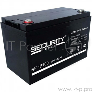 Батарея Secuirity Force  SF 12100, фото 