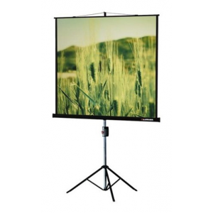 Экран на треноге Lumien 220x165см Master View LMV-100113 4:3 напольный рулонный, фото 