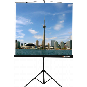 Экран Lumien Eco View 153x153 Matte White, фото 
