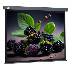 Экран Cactus 127x127см Wallscreen CS-PSW-127X127-SG 1:1 настенно-потолочный рулонный серый, фото 