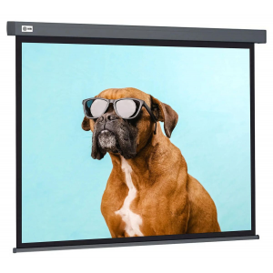 Экран Cactus 149.4x265.7см Wallscreen CS-PSW-149X265-SG 16:9 настенно-потолочный рулонный серый, фото 