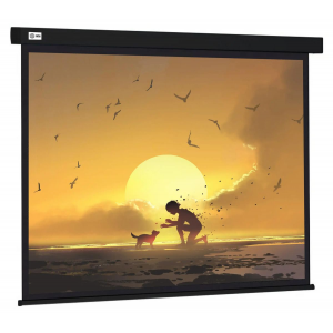 Экран Cactus 150x150см Wallscreen CS-PSW-150X150-BK 1:1 настенно-потолочный рулонный черный, фото 