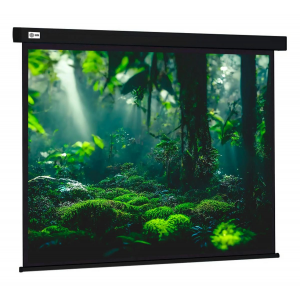Экран Cactus 213x213см Wallscreen CS-PSW-213X213-BK 1:1 настенно-потолочный рулонный черный, фото 
