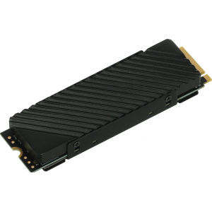 SSD Digma Top G3 1Tb DGST4001TG33T, фото 