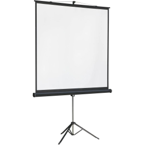 Экран на штативе Lumien Master View 244x244 см Matte White FiberGlass (LMV-100105), фото 