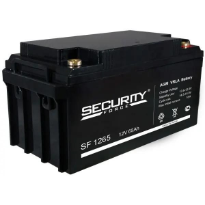 Аккумулятор Security Force SF 1265, фото 
