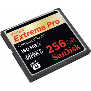 Флеш карта CF 256Gb Sandisk SDCFXPS-256G-X46, фото 
