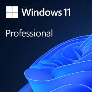 Операционная система Microsoft Windows 11 Professional Наклейка OEM (FQC-10547), фото 