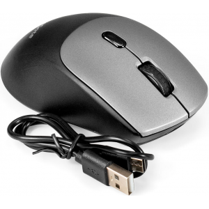 Беспроводная мышь ExeGate Professional Standard BT-070 (радиоканал 2,4 ГГц+Bluetooth5.2, оптическая, 1600dpi, 6D, 6 кнопок и колесо прокрутки, 500mah аккумулятор, черная, серая вставка, RTL), фото 