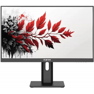 Монитор RDW Computers 27" RDW2701K черный IPS 1ms HDMI M/M матовая HAS Piv 350cd 178гр/178гр 2560x1440 100Hz DP QHD (RUS), фото 