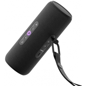 Умная колонка Yandex Стрит Алиса черный 30W 2.0 BT/Wi-Fi 10м 3300mAh (YNDX-00030BLK), фото 