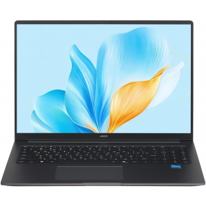 Ноутбук Honor MagicBook X16 2025 16" FHD i3 1315U 8/512GB Intel UHD Graphics No OS 5301ALXS_L BRG-385 GRAY, фото 