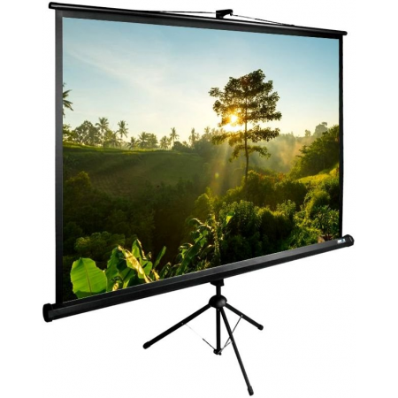 Экран Cactus TriExpert 200x200см (CS-PSTE-200Х200-BK), фото 