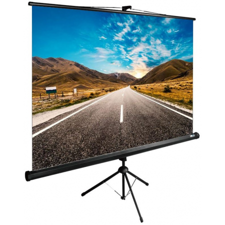 Экран Cactus TriExpert 220x220см (CS-PSTE-220Х220-BK), фото 