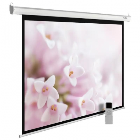 Экран Cactus MotoExpert 240x240см (CS-PSME-240X240-WT), фото 