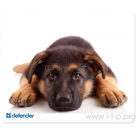 Коврик Defender шелковый ассортимент, 230х190х3, фото , изображение 8