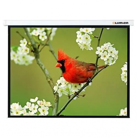 Экран Lumien 171x128см Master Picture LMP-100108 4:3 настенно-потолочный рулонный белый, фото 