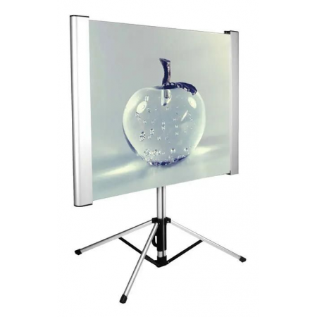 Экран Cactus 102x180см TriAlExpert CS-PSTALE-180X102 16:9 напольный рулонный, фото 