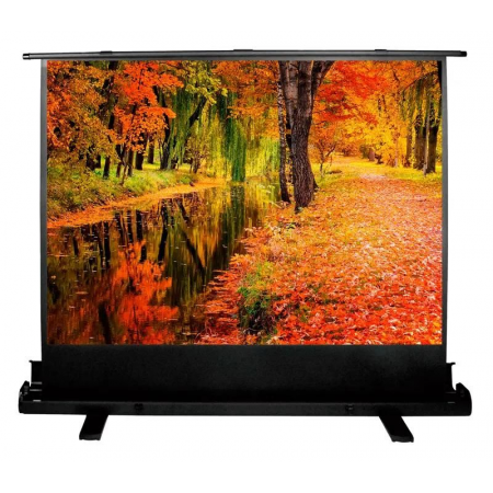 Экран Cactus 150x200см FloorExpert CS-PSFLE-200X150 4:3 напольный рулонный, фото 