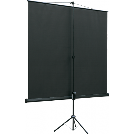 Экран Lumien Eco View 160x160 Matte White, фото , изображение 2