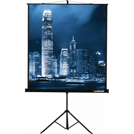 Экран Lumien Master View 183x244 Matte White FiberGlass, фото 