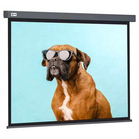 Экран Cactus 149.4x265.7см Wallscreen CS-PSW-149X265-SG 16:9 настенно-потолочный рулонный серый, фото 