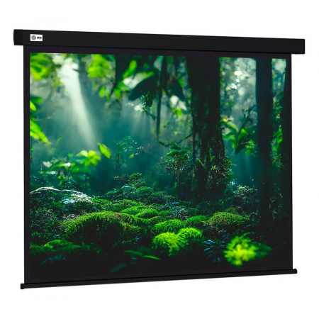 Экран Cactus 213x213см Wallscreen CS-PSW-213X213-BK 1:1 настенно-потолочный рулонный черный, фото 