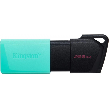 Флеш Диск Kingston 256Gb DataTraveler DTXM DTXM/256GB USB3.2 черный/красный, фото 