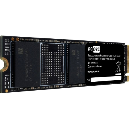 SSD PC PET OEM 1Tb PCPS001T1, фото 