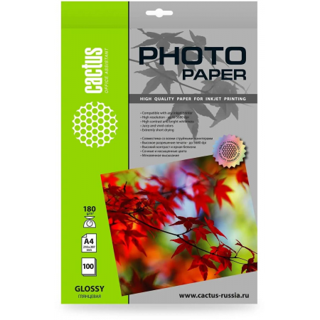 Фотобумага Cactus CS-GA4180100 A4/180г/м2/100л./белый глянцевое для струйной печати, фото 