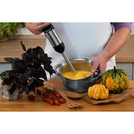 Блендер HARPER HHB-MS01 BLACK, фото , изображение 11