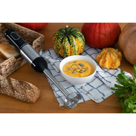 Блендер HARPER HHB-MS01 BLACK, фото , изображение 22