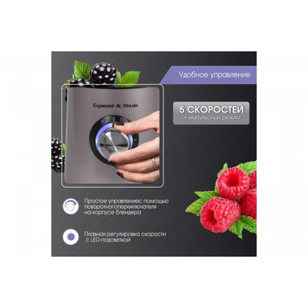 Блендер Zigmund & Shtain BS-441 D, фото , изображение 12