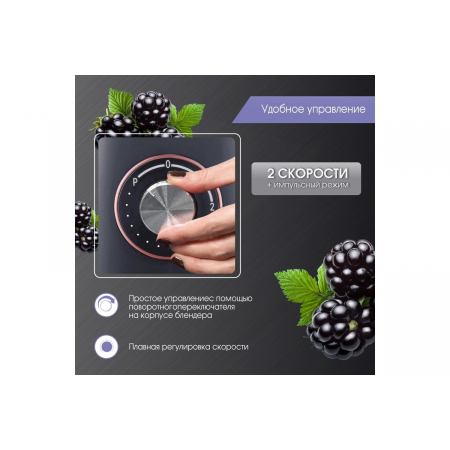 Блендер Zigmund & Shtain BS-442 D, фото , изображение 11