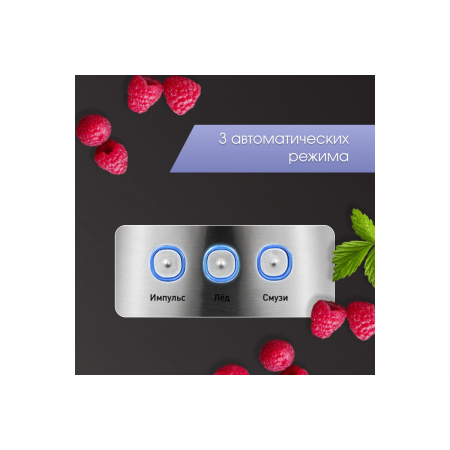 Блендер настольный Zigmund&Shtain BS-445 D, фото , изображение 7