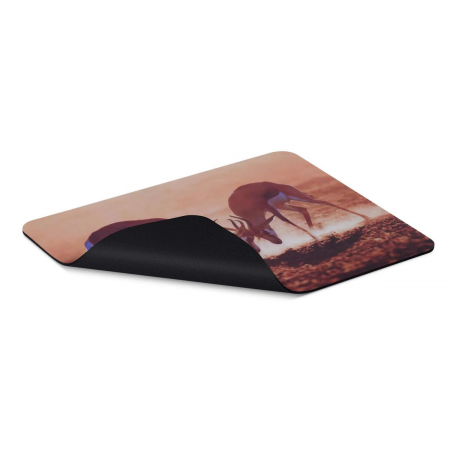 Коврик для мыши Buro BU-M40077 Антилопы, фото , изображение 2