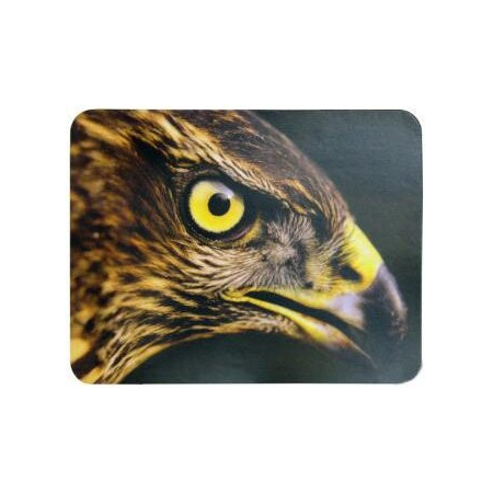 Коврик для мыши Buro BU-M40005 Мини рисунок/орёл 230x180x2мм, фото 