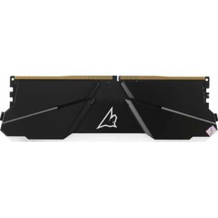 Оперативная память DIMM Netac Shadow RGB DDR4 16Gb NTSRD4P32SP-16E, фото , изображение 3