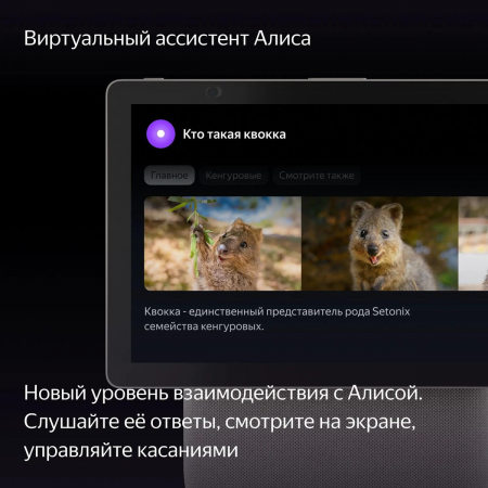 Умная колонка Yandex Станция Дуо Макс Zigbee Алиса бежевый 60W 1.0 BT/Wi-Fi 10м (YNDX-00055BIE), фото , изображение 8